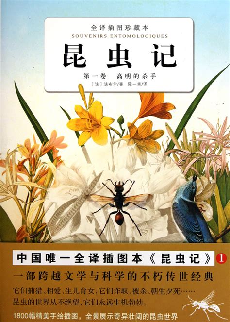 有关昆虫记的图片,昆虫记20种昆虫名片,昆虫记读书(第12页)_大山谷图库