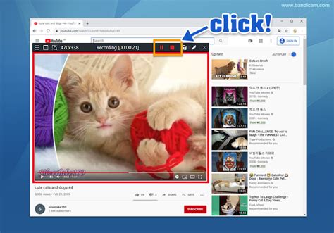 https://static.bandicam.com/how-to/how-to-record-youtube-videos/youtube_video_recording_on.jpg