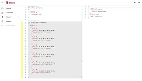 Image result for Using Qdrant Console
