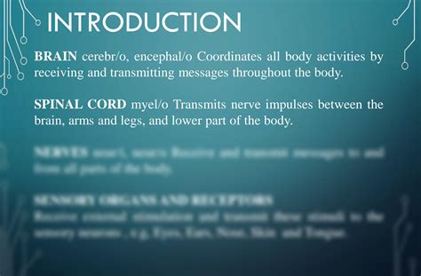 SOLUTION: Medical terminology of nervous system - Studypool