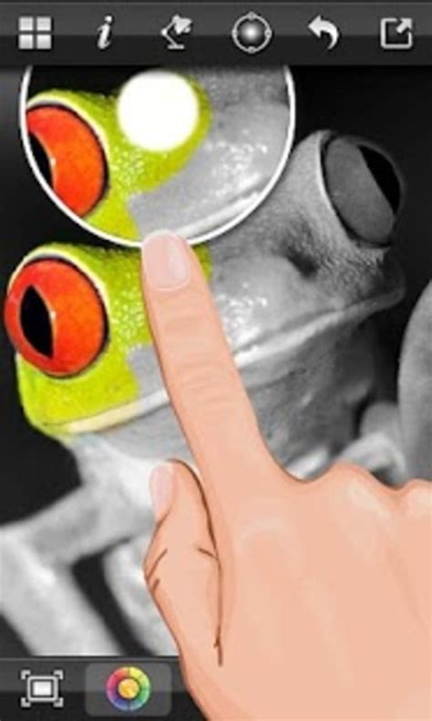 Image result for Color Splash Gameplay