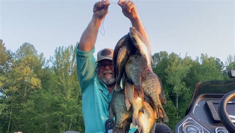 Image result for Fishing Shellcrackers