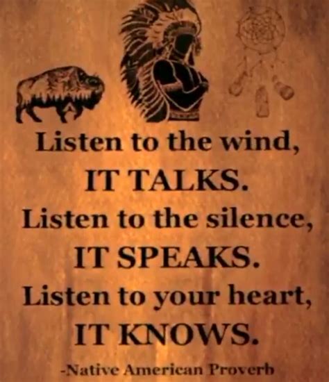 Native American Proverb | Native american quotes, American quotes ...