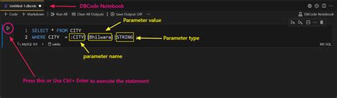 Image result for SQL Open Query with Parameters