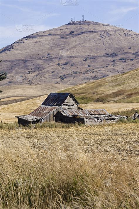 华盛顿州 帕卢斯 的图像结果