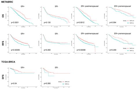 YAP1 Expression in HR+HER2− Breast Cancer: 21-Gene Recurrence Score ...