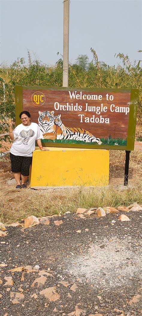 ORCHIDS JUNGLE CAMP (Chandrapur, Maharashtra) - Inn Reviews, Photos ...