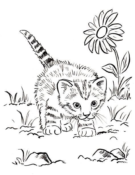 Printable Cute Cat Coloring Pages | Bernard