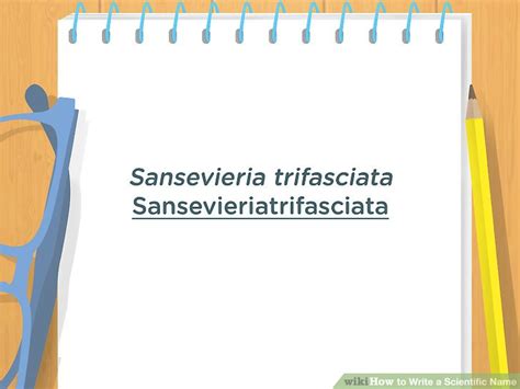 Image result for Scientific Name Example