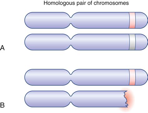 The Multiple Endocrine Neoplasia Syndromes - Clinical Tree