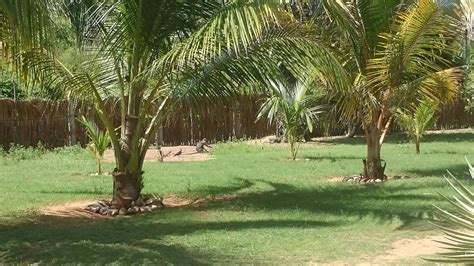 108 PALMS BEACH (Trincomalee) - Specialty Resort Reviews & Photos ...