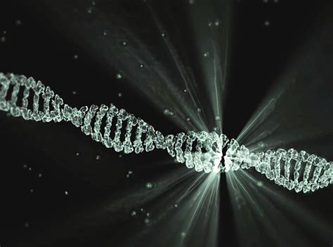 DNA Activation Code 的图像结果