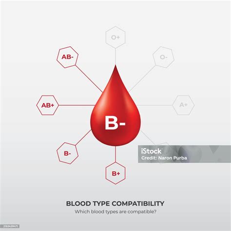 Blood Group And Blood Types Drops Of Blood Type B Minus Stock ...