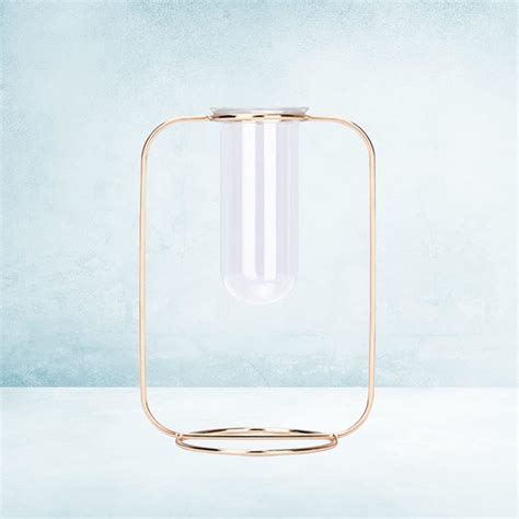 Buy Hemoton Glass Round Tube Vase Hydroponic Dry Flower Vase Holder ...