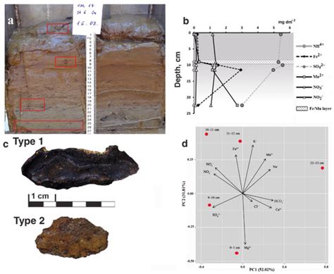 Diversity | Special Issue : Diversity in Extreme Environments