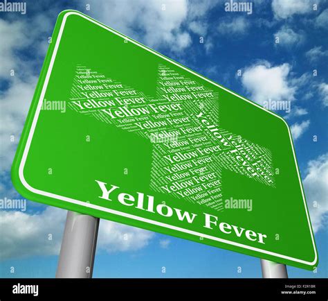 Yellow Fever Representing Acute Viral Disease And Acute Viral Disease ...