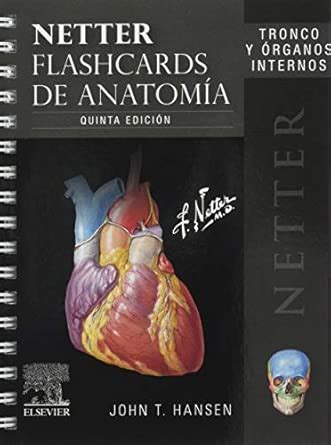 Amazon.in: Buy Netter. Flashcards De Anatomia. Tronco Y Organos ...