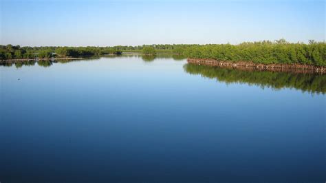Upper Tampa Bay Conservation Park – Florida Hikes