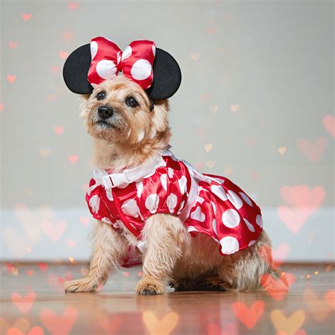 Disney Dog Costumes Uk at Mia Stanfield blog