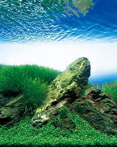 amano aquascape takashi amano nature aquarium aquascapes t a g amano aquascape takashi amano nature aquarium aquascapes t a g