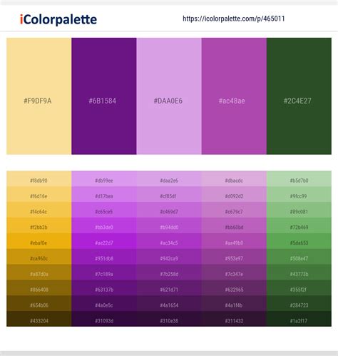 Midnight Purple Color Palette - Fititnoora