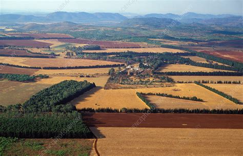Farmland 的图像结果