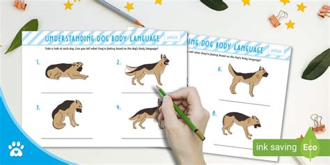 Understanding Dog Body Language - Activity Sheet - Twinkl