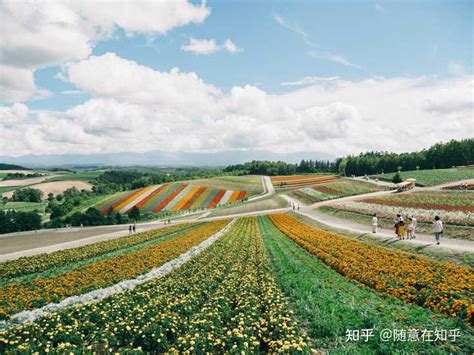 世界观 的图像结果