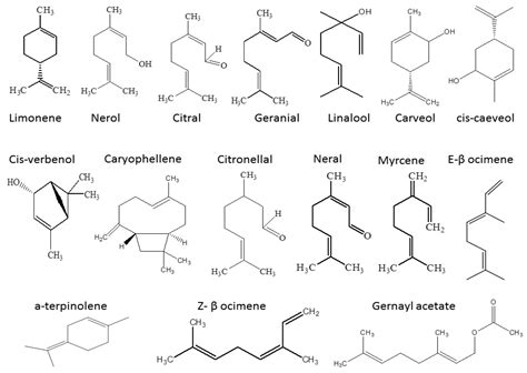 Uncovering the Industrial Potentials of Lemongrass Essential Oil as a ...