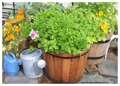 Herb Planter Where to Start With Pots, Boxes Wagon Wheel