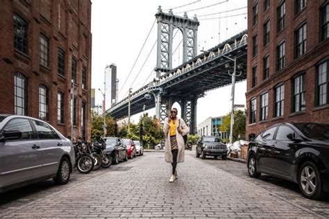 Bridge Model 的图像结果