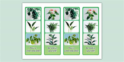 Plant Photo Strip Bookmarks (teacher made) - Twinkl