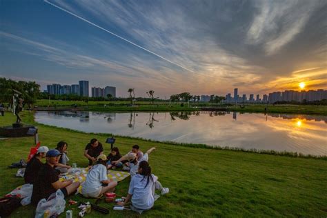 2022渌洋湖湿地公园游玩攻略,趁着来扬州喝喜酒的空隙，游...【去哪儿攻略】