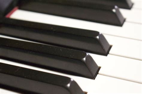 Image result for Musical Instruments Piano