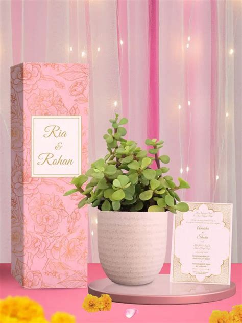 Wedding Return Gifts – Greenkin