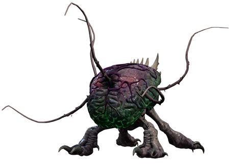 Us - bg3.wiki