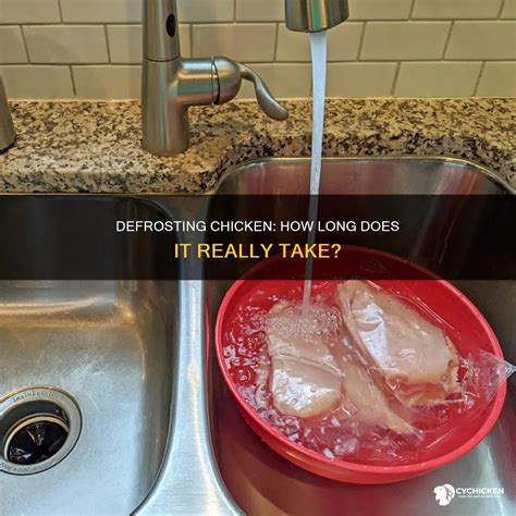 Defrosting Chicken: How Long Does It Really Take? | CyChicken
