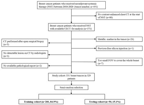 Integration of Clinical and CT-Based Radiomic Features for Pretreatment ...
