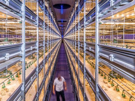 Netherlands is world number two in agricultural exports by using greenhouses and new technology ...