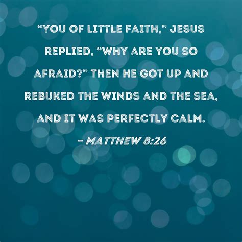 Matthew 8:26 "You of little faith," Jesus replied, "why are you so ...