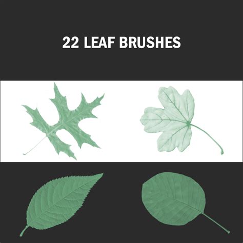 20 free Photoshop brushes you will love