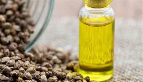 10 Home Remedies To Regrow Hair On Bald Patches - lifeberrys.com