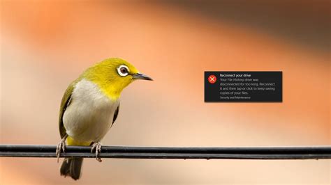 Reconnect File History Drive This Computer 的图像结果