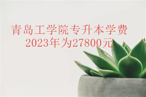 青岛工学院专升本学费2023年统一提高为27800元！-易学仕专升本网