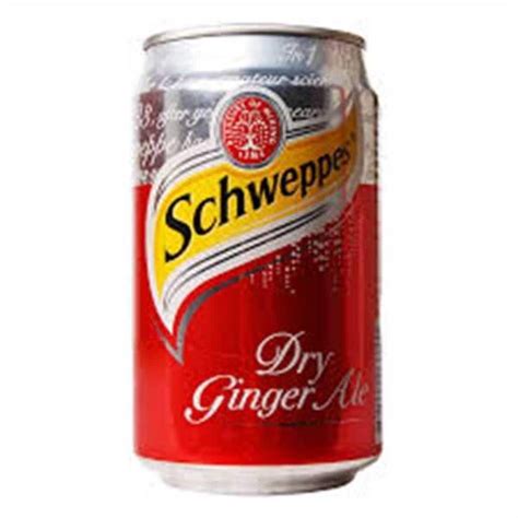 Ginger Ale Real