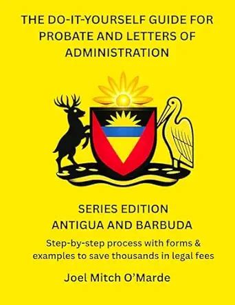 THE DO-IT-YOURSELF GUIDE FOR PROBATE AND LETTERS OF ADMINISTRATION ...