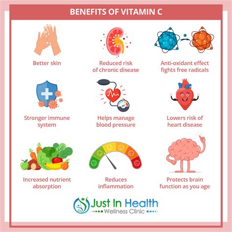 How Vitamin C Works On Immune System at Raymond Eudy blog