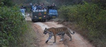 5 Days 4 Nights cochin, munnar, thekkady and alleppey Wildlife Trip ...