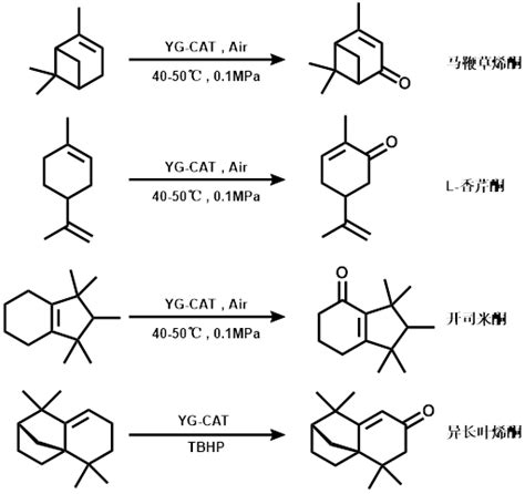 手性伯胺/酮协同催化的双氧水参与的不对称α位-羟基化反应