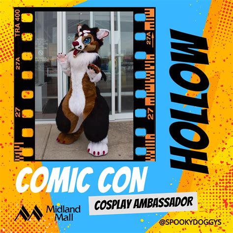 Cosplay Ambassadors — Midland Comic-Con